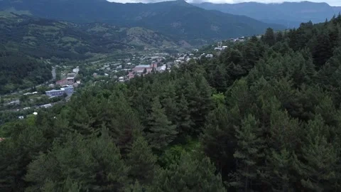 Small town in a canyon surrounded by dense forestry and mountains 動画素材 311773674