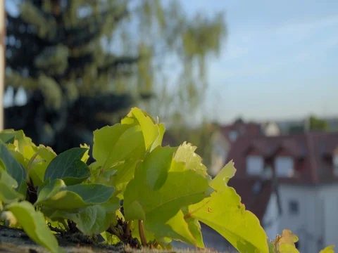 A small town in Germany Video stock 76814418