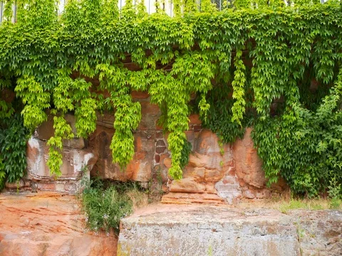 A small town in Germany Stock Footage 77779463