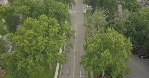 Small Town Highway trees arial tilt to horizon Stock Footage 93945489