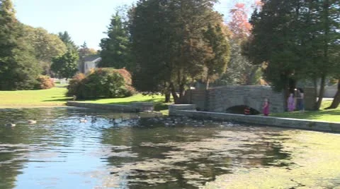 Small town lake (4 of 5) Stock Footage 12682601