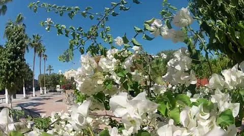 Small town Mexico Stock Footage 22104089