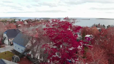 Small Town in Nova Scotia- Fall Foliage Stock Footage 143690679