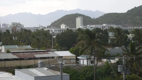 Small town with palm trees, strong wind in anticipation of tropical rain. Stormy Video stock 116229192
