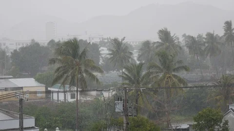 Small town with palm trees under heavy tropical rain with typhoon and monsoon Video stock 116229312