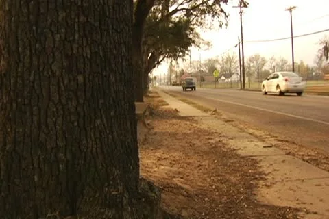 Small Town Traffic from side of a tree Stock Footage 10765069