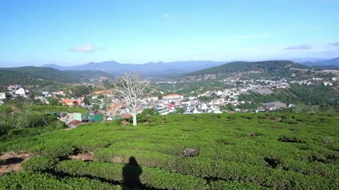 A small town under a tea hill valley in the morning Stock Footage 147020073
