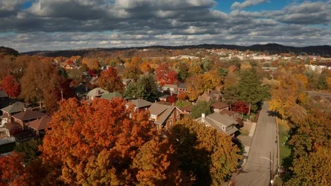 Small Town USA Fall Shot of Neghborhood Vidéo 99045057