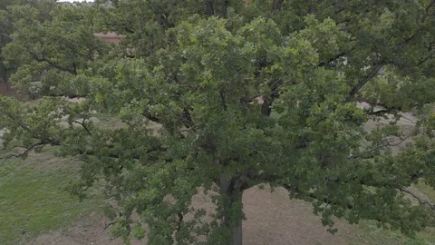 Small town view from above Video stock 101663478