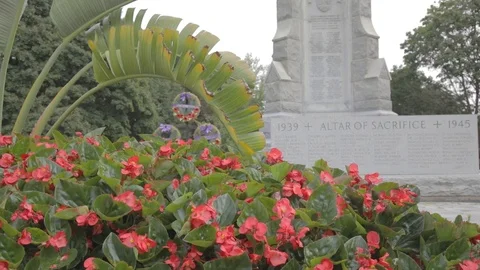 Small Town War Memorial Stock Footage 99374937