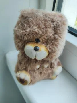 Small toy bear. teddy bear figurine. Stock Photos