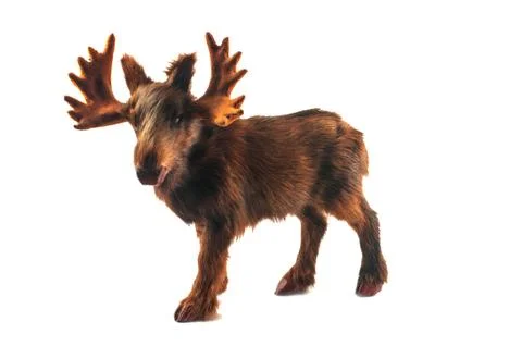 Small toy moose Stock Photos