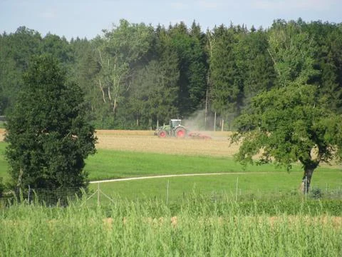 Small tractor between two trees Stock Photos