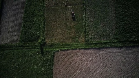 Small tractor on the field Stock Footage 114651644