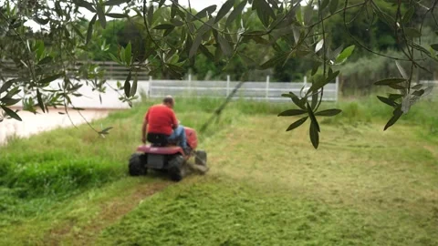 Small tractor mowing grass in villa garden Stock Footage 321540049