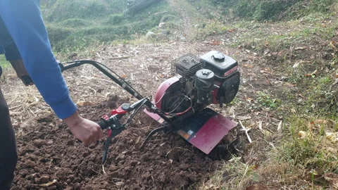 Small tractor for plowing in villages Stock Footage 295874821