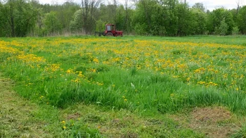 A small tractor rides across the field. Rural landscape Stock Footage 131527205