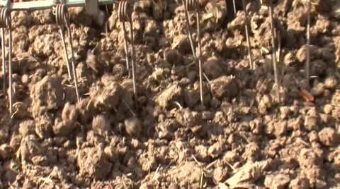 Small tractor sow wheat Stock Footage 56706212