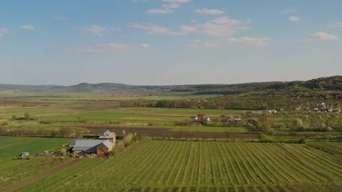 A small tractor works in a field with apple trees. Stock Footage 238839078
