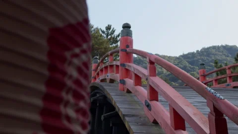 Small Traditional Bridge Stock Footage 316071813