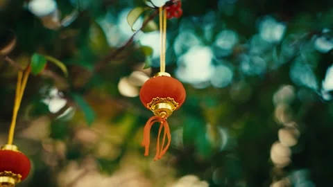 Small traditional Chinese red lantern hanging outdoors from a tree. Stock Footage 346642225