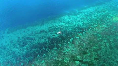 Small traditional outrigger boat floating on turquoise coral reef water aerial Stock Footage 345483057