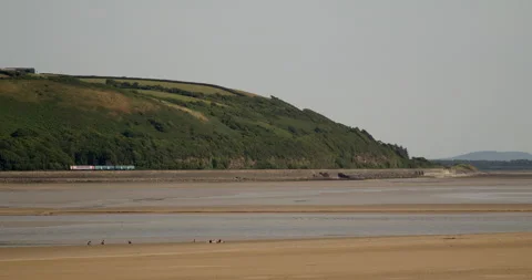 Small train driving past small village Stock Footage 227133420