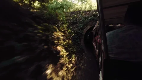 Small train going into a tunnel at the Saint Louis Zoo Stock-Footage 129444107