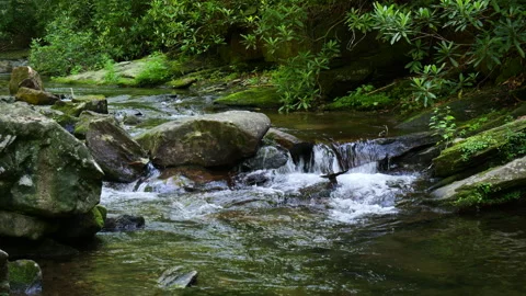 Small tranquil mountain stream Stock Footage 337319651