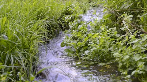 Small transparent river Stock Footage 23196357
