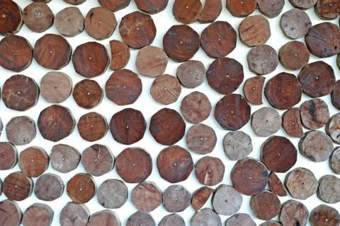 Small tree bark on wall as background Stock Photos