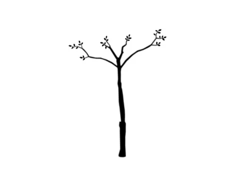 Small Tree (black matte) Video stock 445020