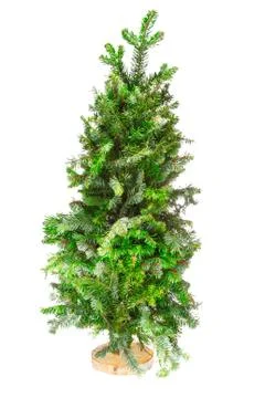 Small tree Christmas tree on a stand Stock Photos