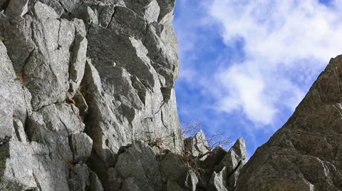 Small tree on a cliff on background moving clouds. Time Lapse. Stock Footage 56139048