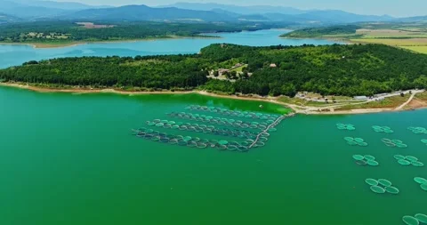 Small Tree Covered Patch Of Land Fresh Water Fising Breeding Nets In Rural Stock-Footage 289419652