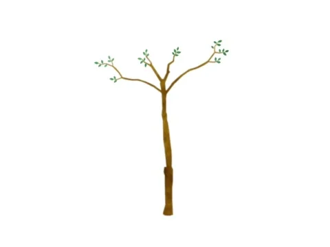 Small Tree (green leaves) Video stock 445021