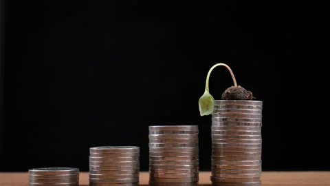 Small tree growing on coins stack stop motion.business growth concept	 库存影片 153805475