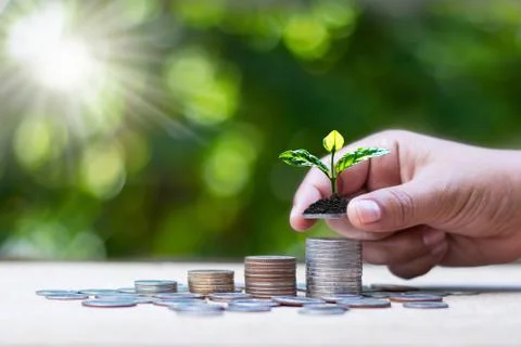 A small tree that grows in the hands of people on a pile of different coins.  Stock-Fotos