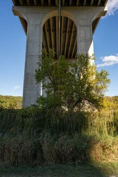 Small Tree Grows Under The I-80 Bridge 写真素材