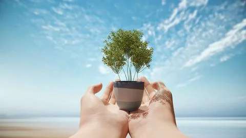Small tree on hand with sky and see in background. Stock Photos