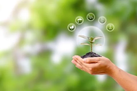 The small tree in human hand and energy icon, energy-saving concept. enviro.. Stock Photos