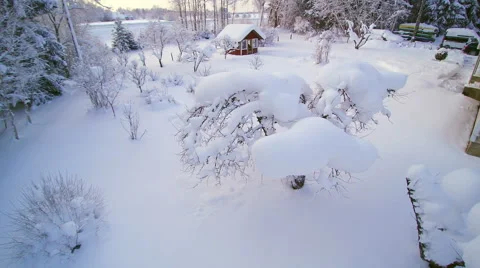 The small tree infront of the yard with snow Stock Footage 59688212