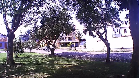 A small tree-lined square in Brazil 스톡 동영상 220309261