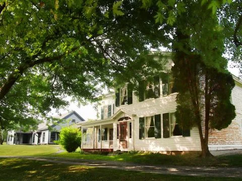 Small tree lined street Stock Photos