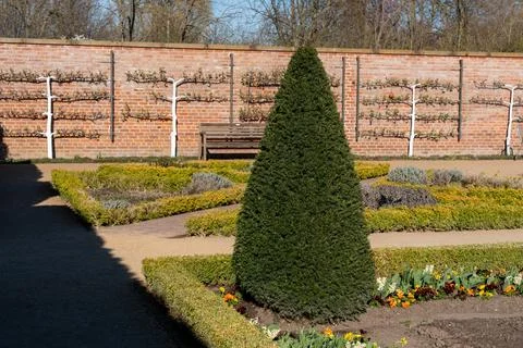 A small tree is in the middle of a garden Stock Photos