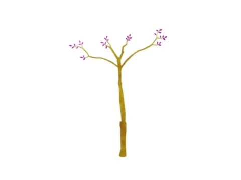 Small Tree (pink leaves) Video stock 445018