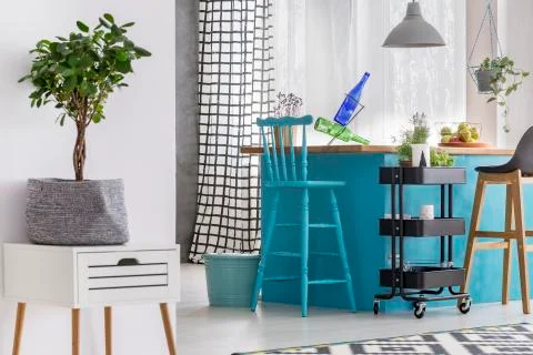 Small tree standing on cabinet Stock Photos