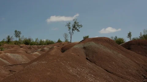 A Small Tree Struggles to Grow on the Dirt Hill Stock Footage 92625509
