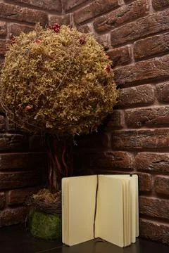 A small tree is on the table and sketchbook. Brick wall studio Stock Photos