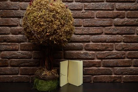 A small tree is on the table and sketchbook. Brick wall studio Stock Photos
